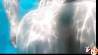 PAWG Desiree Deluca Shakes Her Huge Tits Underwater and Poolside