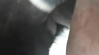 Ebony Milf Cumming On My Dick