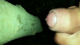 I added my cum on " cruising cum tree " ( close up cumshot )