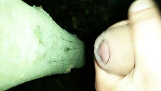 I added my cum on " cruising cum tree " ( close up cumshot )