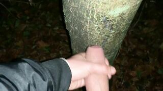 Cumshot on a tree and close up look on my fresh load