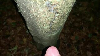 Cumshot on a tree and close up look on my fresh load