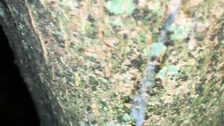 Cumshot on a tree and close up look on my fresh load