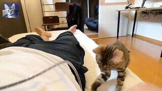 Please be healed by a kitty who wants to spend time with you in a romantic women's porn.bed........