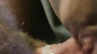 Close Up  Slow Fuck Penetration ASMR