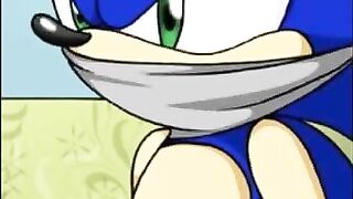 Sonic (Amy Rose Fucking Porn Parody) - Saturday Night Fun #1 (Hard Sex) (Hentai)