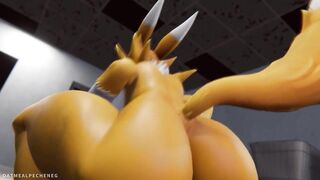 Sexy Digimon MILF Renamon caught on cam in laundry