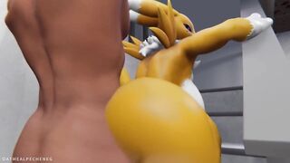 Sexy Digimon MILF Renamon caught on cam in laundry